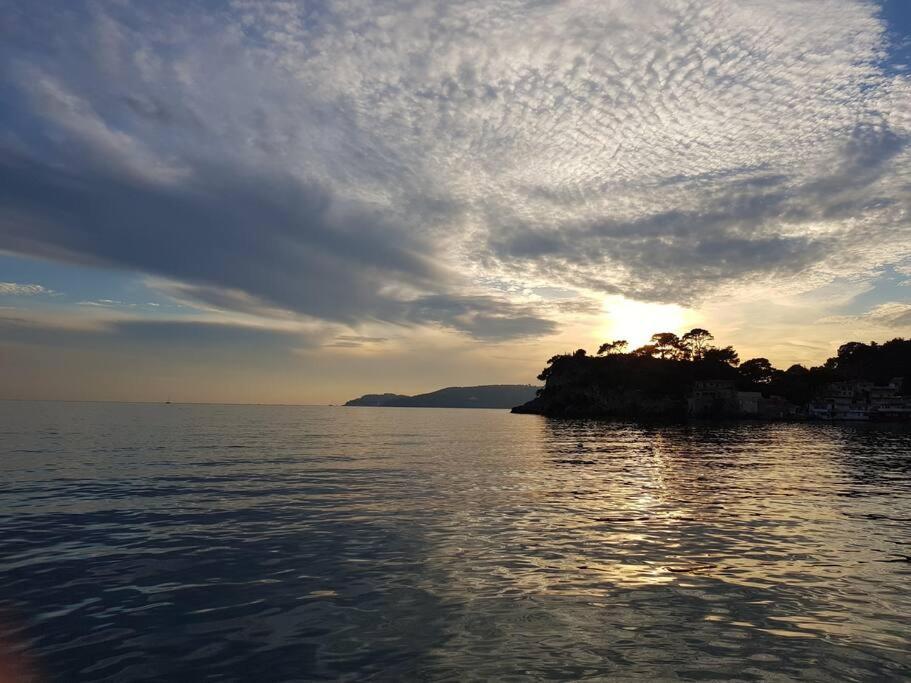 Villa Contemporaine F5 Cote Azur Ollioules Calme Exteriér fotografie