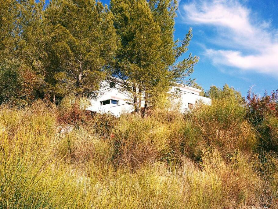 Villa Contemporaine F5 Cote Azur Ollioules Calme Exteriér fotografie